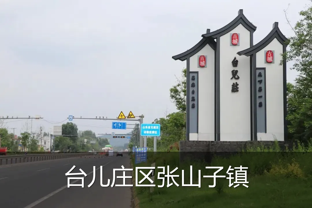 台儿庄区张山子镇