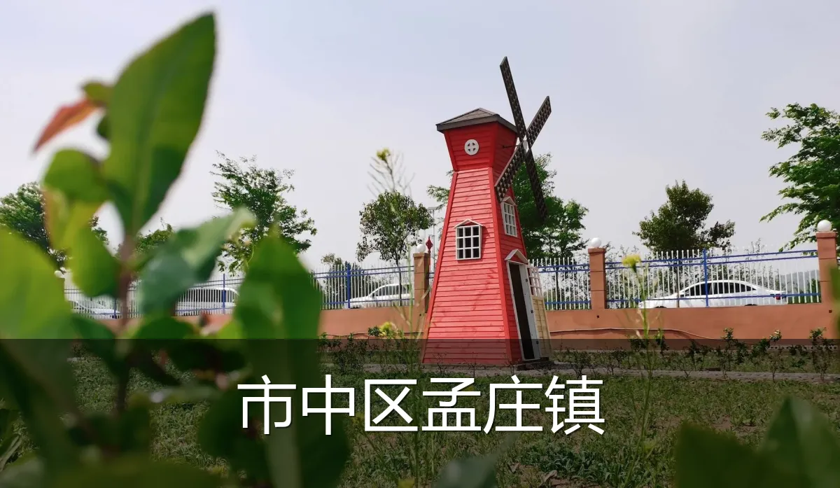 市中区孟庄镇