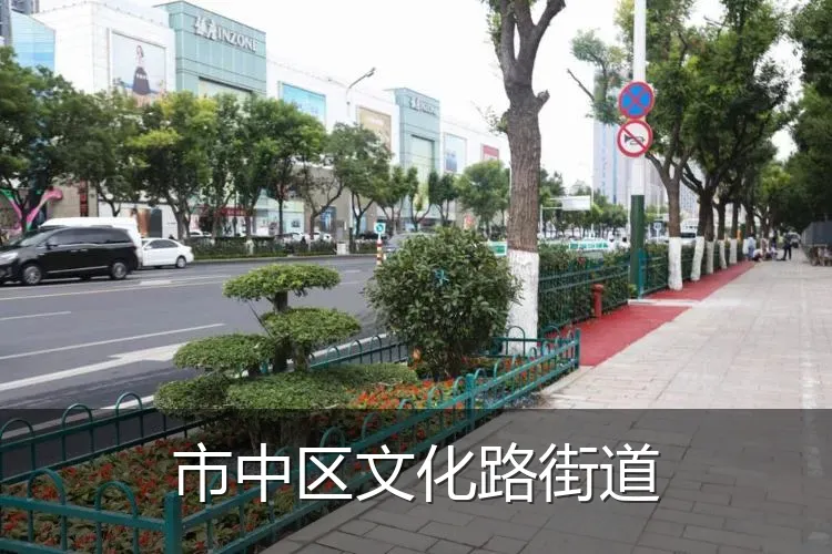 市中区文化路街道