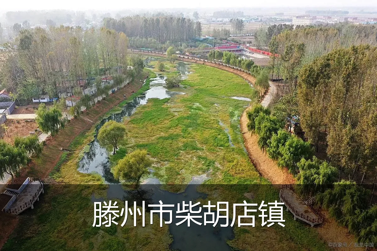 滕州市柴胡店镇