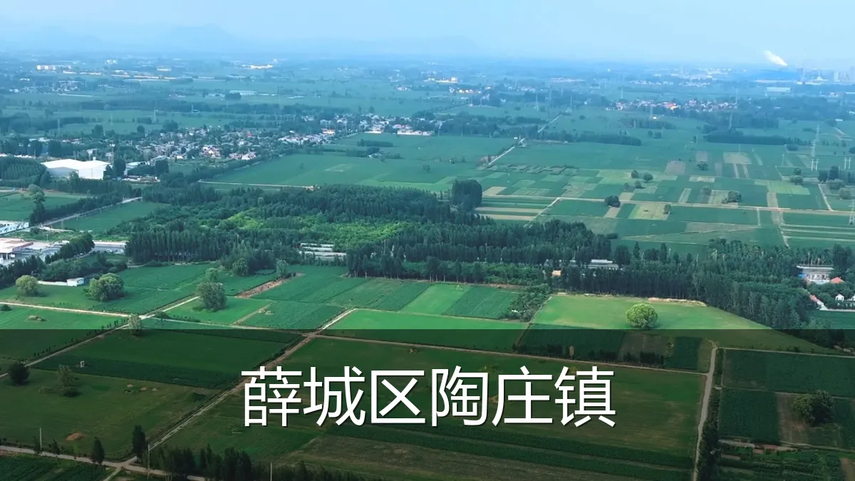 薛城区陶庄镇